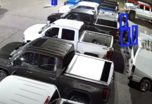 Detected criminals in action